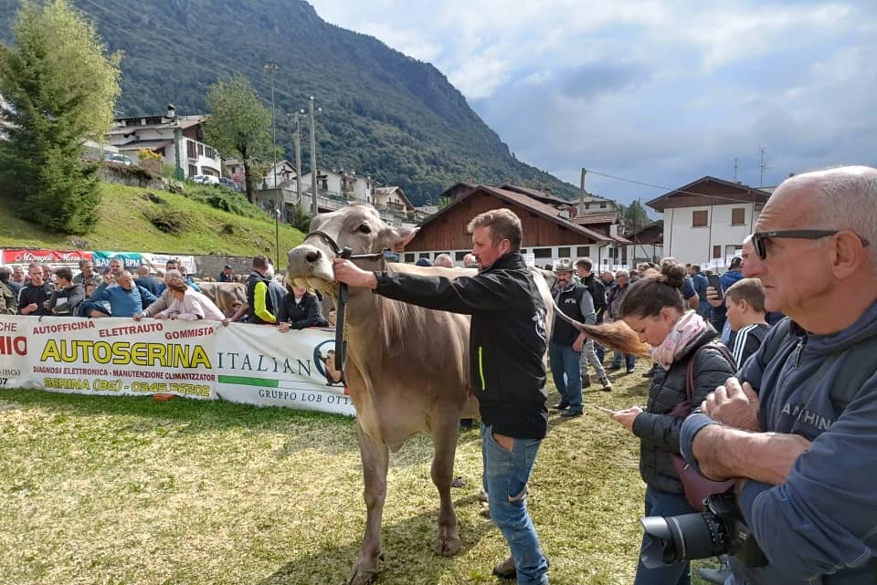 mostra serina 2022 - La Voce delle Valli