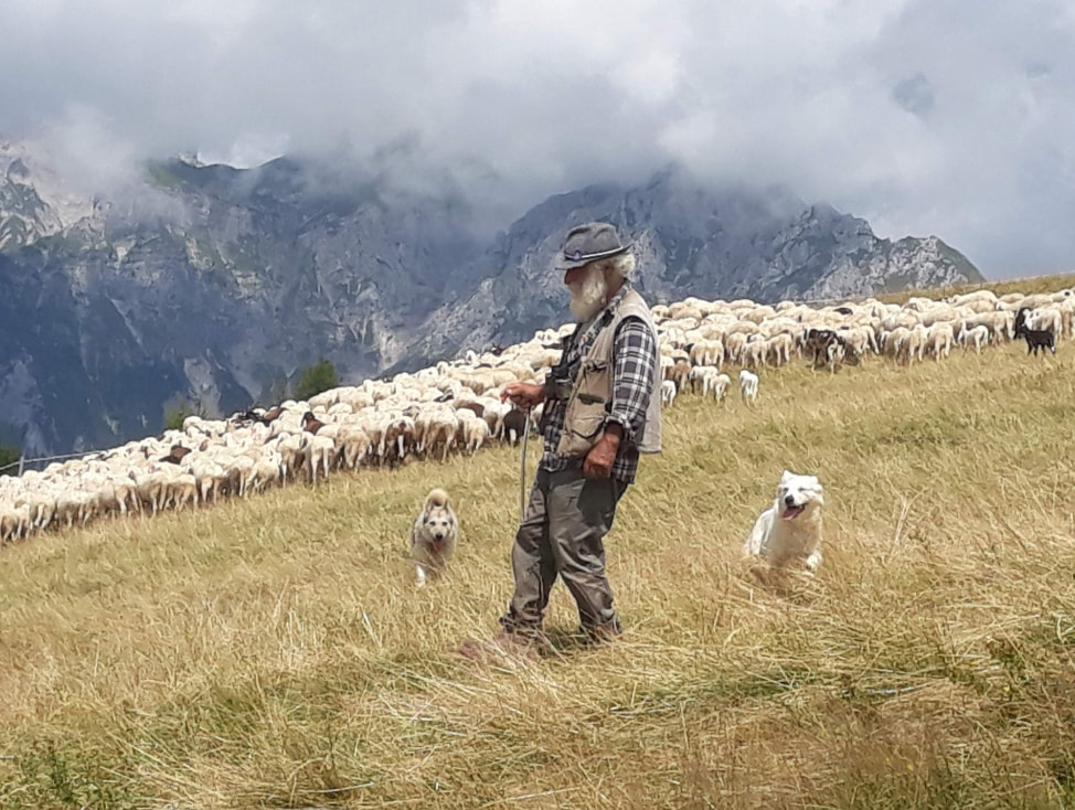 3 mo lu 64 pastur a torcola orig - La Voce delle Valli